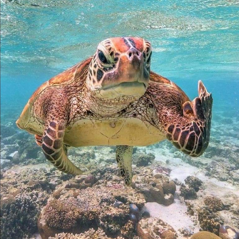 Nature’s beauty